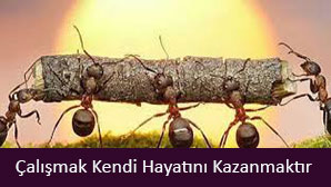 Çalışmak Kendi Hayatını Kazanmaktır