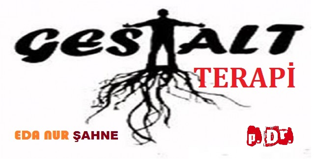 GESTALT TERAPİ (Bir Kuramdan Daha Fazlası) (Eda Nur Şahne)