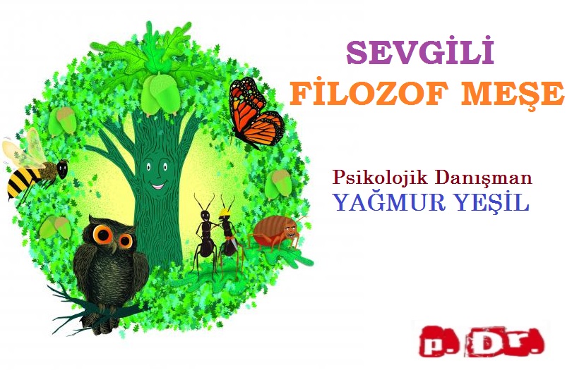 SEVGİLİ FİLOZOF MEŞE