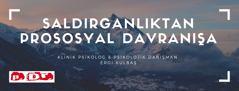 PROSOSYAL DAVRANIŞ NEDİR VE SALDIRGANLIĞI ÖNLEMEDE ETKİSİ NASILDIR?