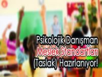 Psikolojik Danışman Meslek Standartları Hazırlanıyor!