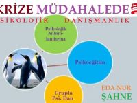 KRİZE MÜDAHALEDE PSİKOLOJİK DANIŞMANLIK