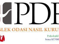PDR MESLEK ODASI NASIL KURULUR?