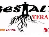 GESTALT TERAPİ (Bir Kuramdan Daha Fazlası) (Eda Nur Şahne)