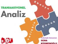 TRANSAKSİYONEL ANALİZ (TA) (Sema Küsmenoğlu)