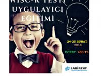 WISC-R WECHSLER TESTİ UYGULAYICI EĞİTİMİ 24-25 ŞUBAT'TA LABİRENT PSİKOLOJİDE