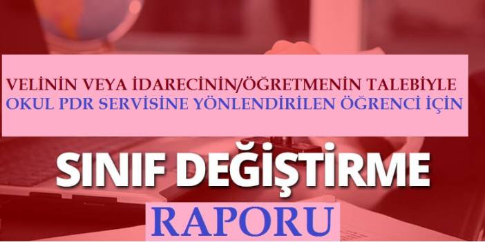 SINIF DEĞİŞİKLİĞİYLE İLGİLİ GÖRÜŞ BİLDİRME RAPORU